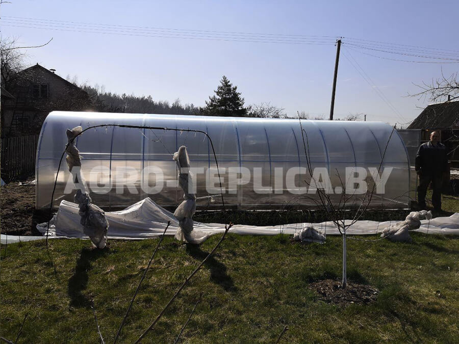 Фото Агротеплицы Плюс