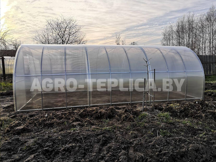 Фото Агротеплицы Престиж